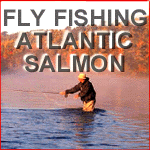 Fly Fishing Atlantic Salmon